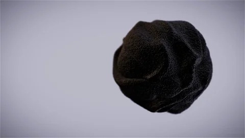 Organic sphere, black. Stock Footage 77390634