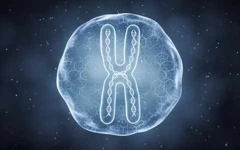 Organic sphere with chromosome inside, 3d rendering. Illustrazione stock