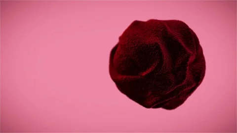 Organic sphere, red. Stock Footage 77390723