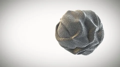 Organic sphere, white. Stock Footage 77390871