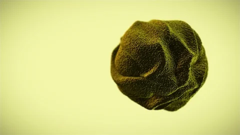 Organic sphere, yellow. Stock Footage 77390870