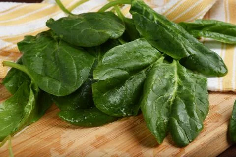 Organic spinach Stock Photos