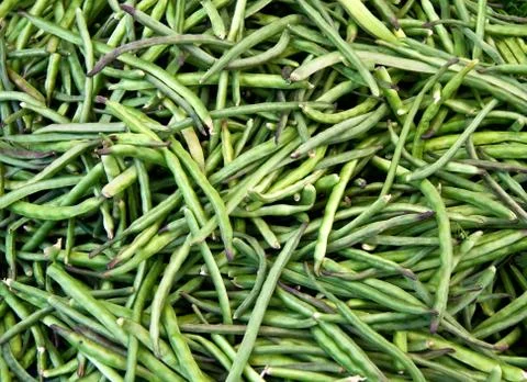 Organic string beans Stock Photos