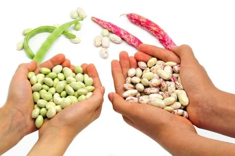 Organic string beans on white background Stock Photos