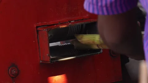Organic sugarcane juice extracted from machine. Stock Footage 245200869