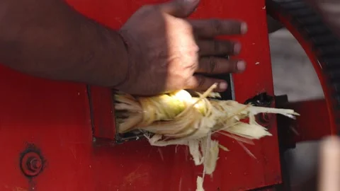 Organic sugarcane juice extracted from machine. Stock Footage 245200995