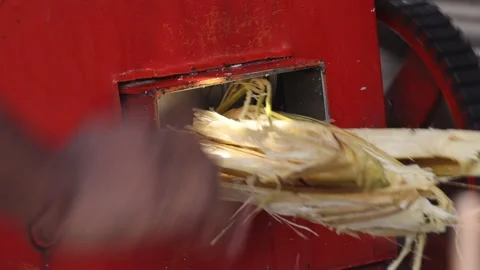 Organic sugarcane juice extracted from machine. Stock Footage 245201013