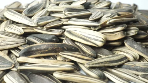 Organic sunflower seed. Camera rotation surrounding the object. Video stock 41869697