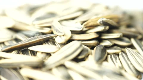 Organic sunflower seed. Camera rotation surrounding the object. Video stock 41869739