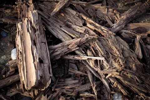 Organic Surface Pattern Formed by Interlocking Wooden Fragments Stock Photos