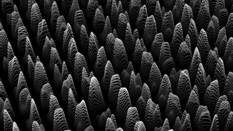 Organic Terrain Animation Stock Footage 339290779