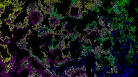 Organic texture animation with vibrant colors. Organic texture abstract flu.. Stock Footage 337022438