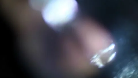 Organic Texture Bokeh 01 Video stock 230464145