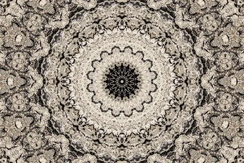 Organic texture kaleidoscope pattern with radial symmetry Stock Photos