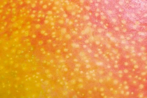 Organic texture of mango fruit Фото