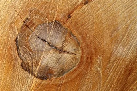 Organic texture Stock Photos
