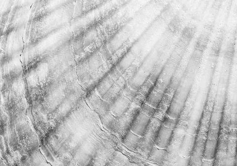Organic texture Foto stock