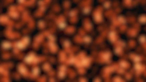Organic textured background with warm orange and brown tones during gentle .. Stock Footage 340951705