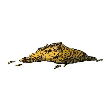 Organic thyme leaf sketch hand drawn vector Stock Illustration
