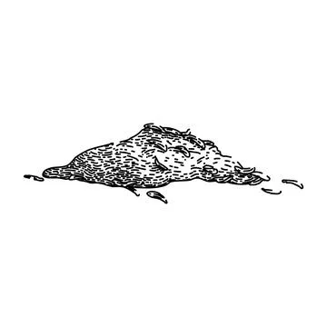 Organic thyme leaf sketch hand drawn vector Stock Illustration