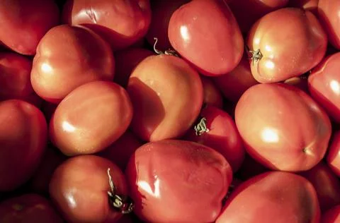 Organic tomato background Stock Photos