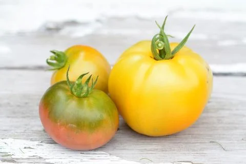 Organic tomato Stock Photos