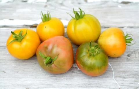 Organic tomato Stock Photos