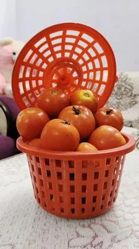 Organic Tomato Stock Photos
