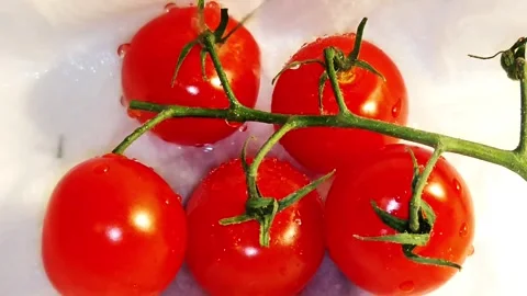 Organic tomatoes and drops of water 動画素材 334139727