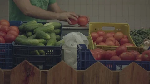  Organic tomatoes Stock Footage 77155393