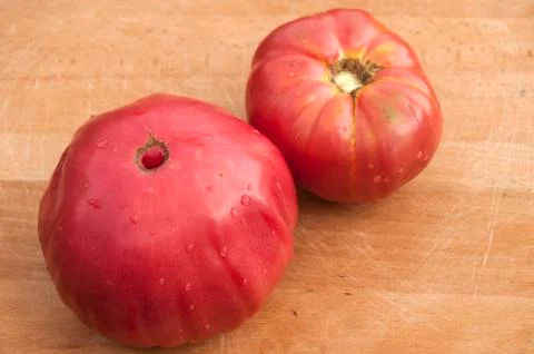 Organic tomatoes Stock Photos