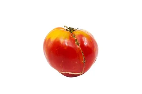 Organic tomatoes Stock Photos