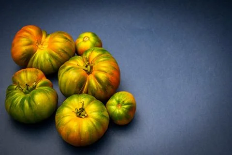 Organic tomatoes 스톡 사진