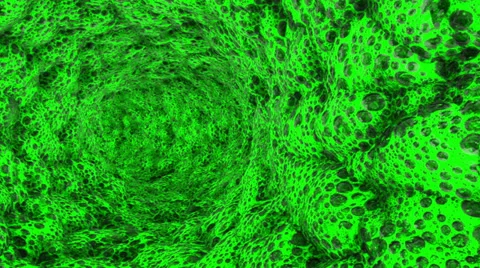 Organic tunnel Stock Footage 38271817