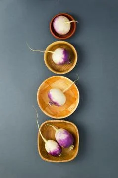 Organic turnips Stock Photos