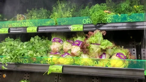 Organic Vegetable on Display Shelves Stock Footage 132790704