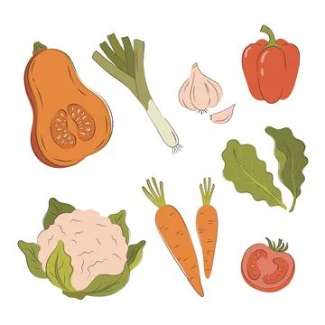 Organic vegetable set with hand drawn texture stroke: pumpkin, cauliflower,.. Stock Illustration