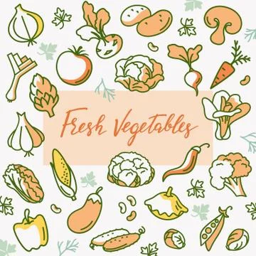 Organic vegetable vector illustration with a place for text or lettering in the Stock Illustration