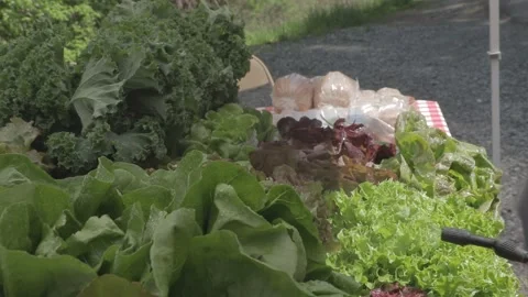 Organic vegetables being sprayed with water at farmer's market stand. 库存影片 130223177