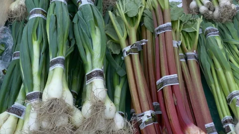 Organic Vegetables Stock Footage 131025580