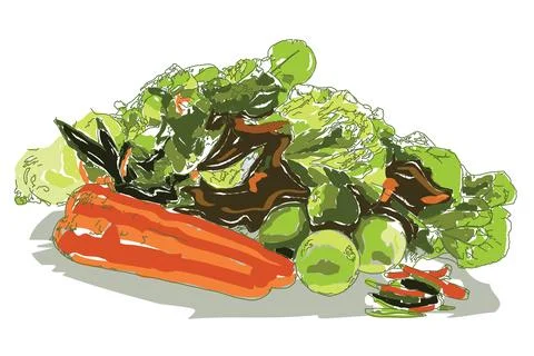 Organic vegetables Stock Illustration