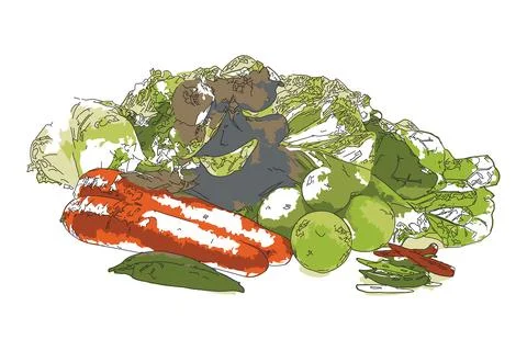 Organic vegetables Stock Illustration