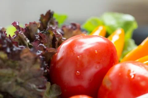Organic vegetables. Stock Photos