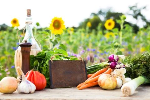 Organic vegetables on a table 스톡 사진
