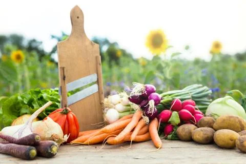 Organic vegetables on a table 스톡 사진
