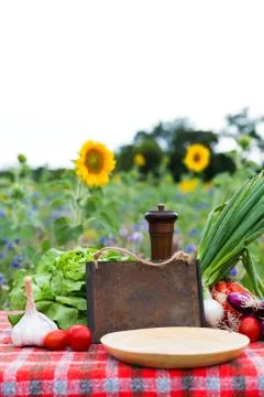 Organic vegetables on a table 스톡 사진