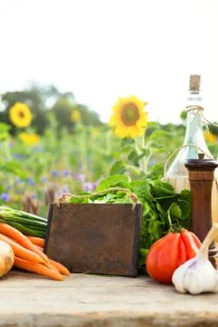 Organic vegetables on a table Fotos Stock