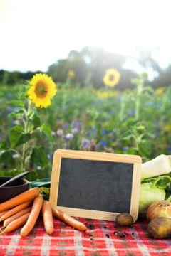 Organic vegetables on a table 库存照片