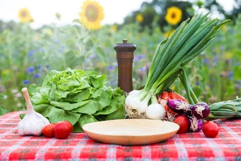 Organic vegetables on a table 写真素材