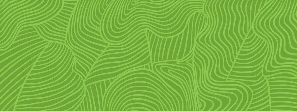 Organic vineyard pattern. Wavy stripe fields texture in green line art. Abs.. Stock Illustration